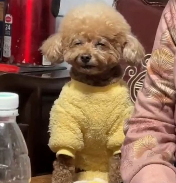 애니멀플래닛