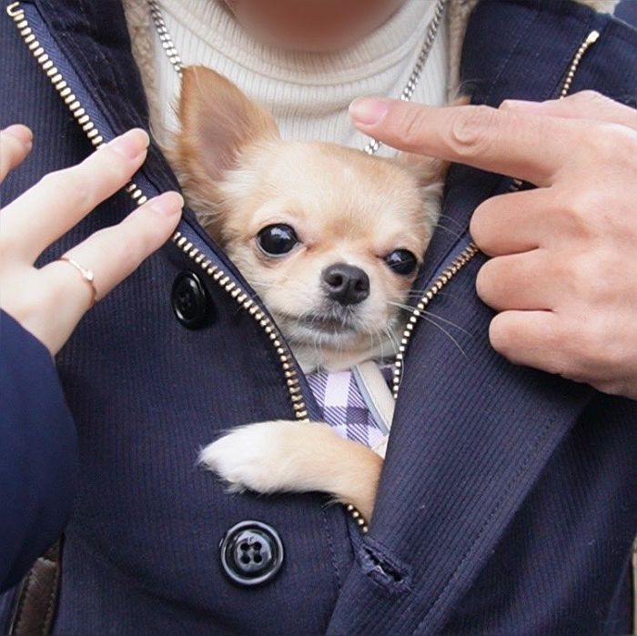 애니멀플래닛
