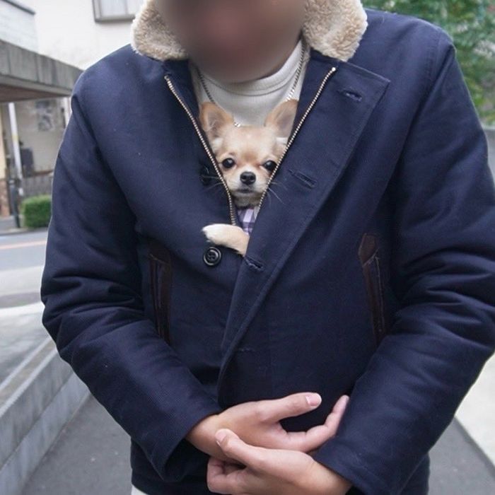 애니멀플래닛