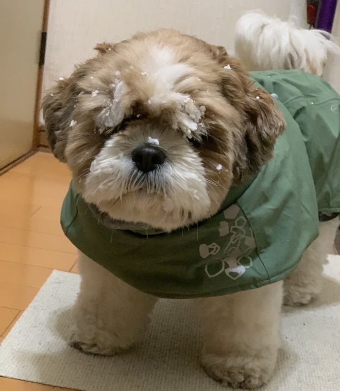 애니멀플래닛