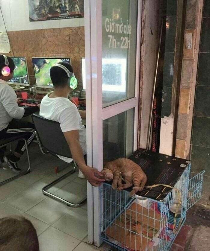 애니멀플래닛