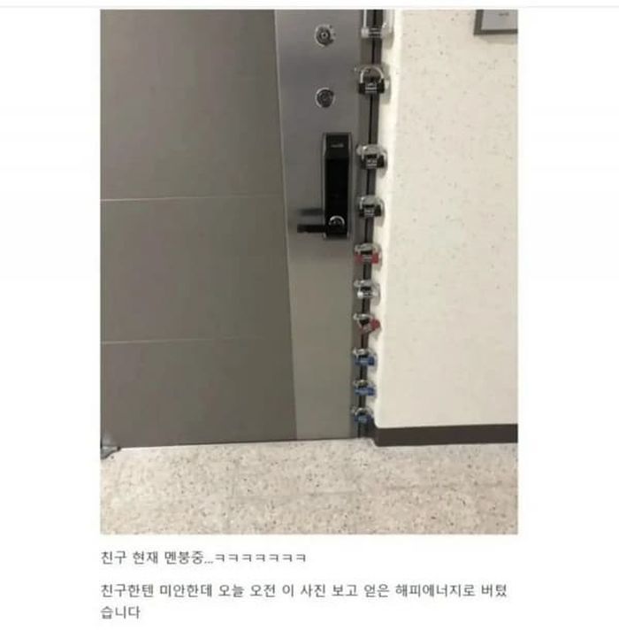 애니멀플래닛