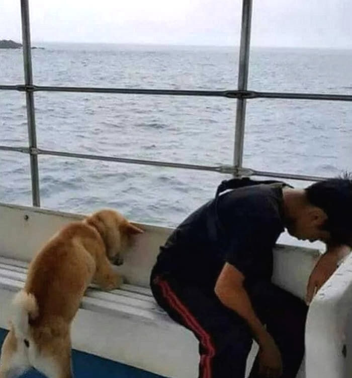 애니멀플래닛