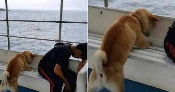 애니멀플래닛