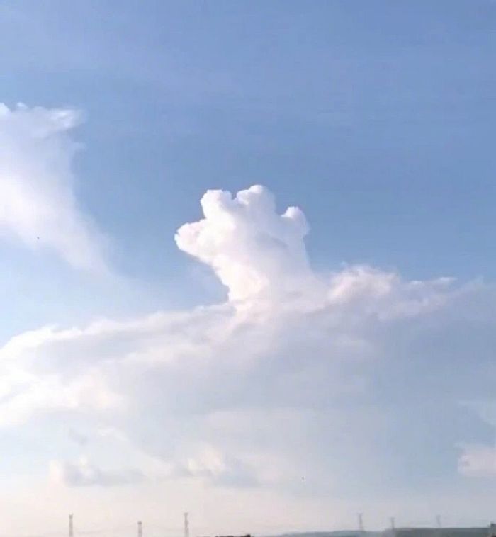 애니멀플래닛