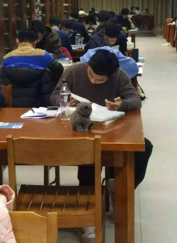 애니멀플래닛