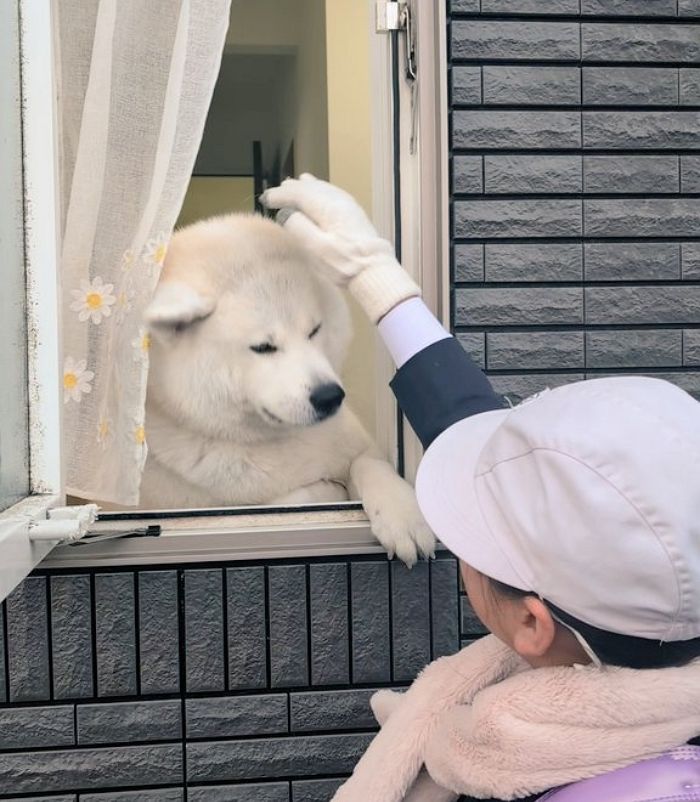 애니멀플래닛