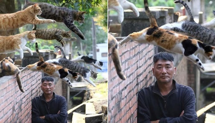 애니멀플래닛