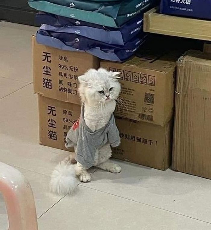 애니멀플래닛