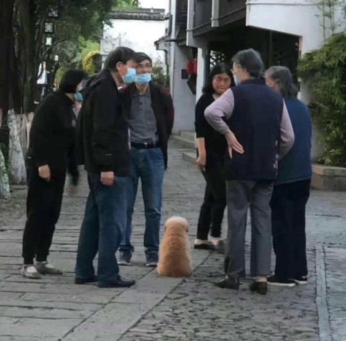 애니멀플래닛