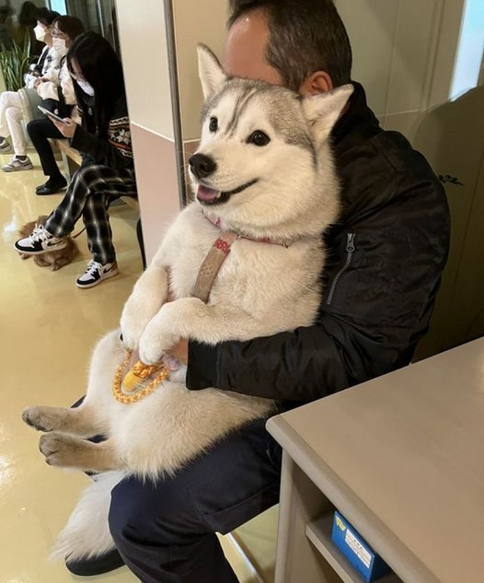 애니멀플래닛