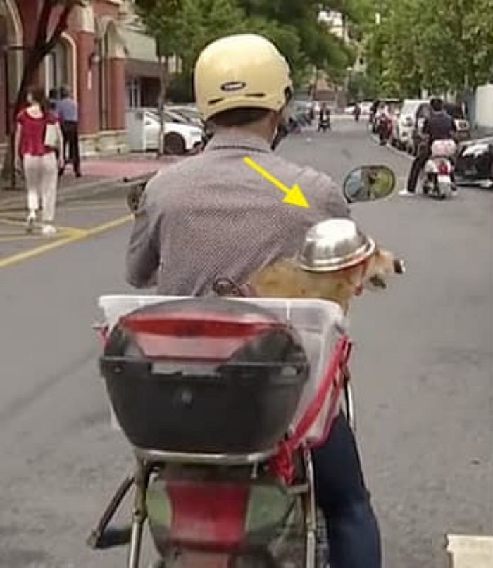 애니멀플래닛