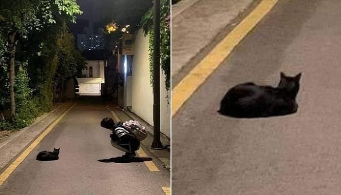 애니멀플래닛