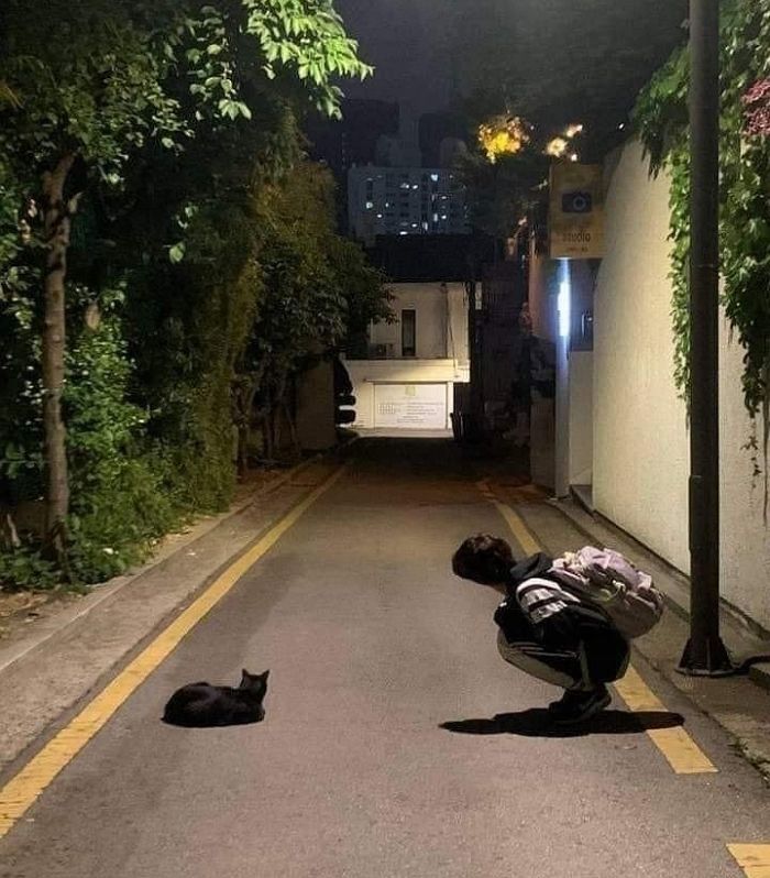 애니멀플래닛