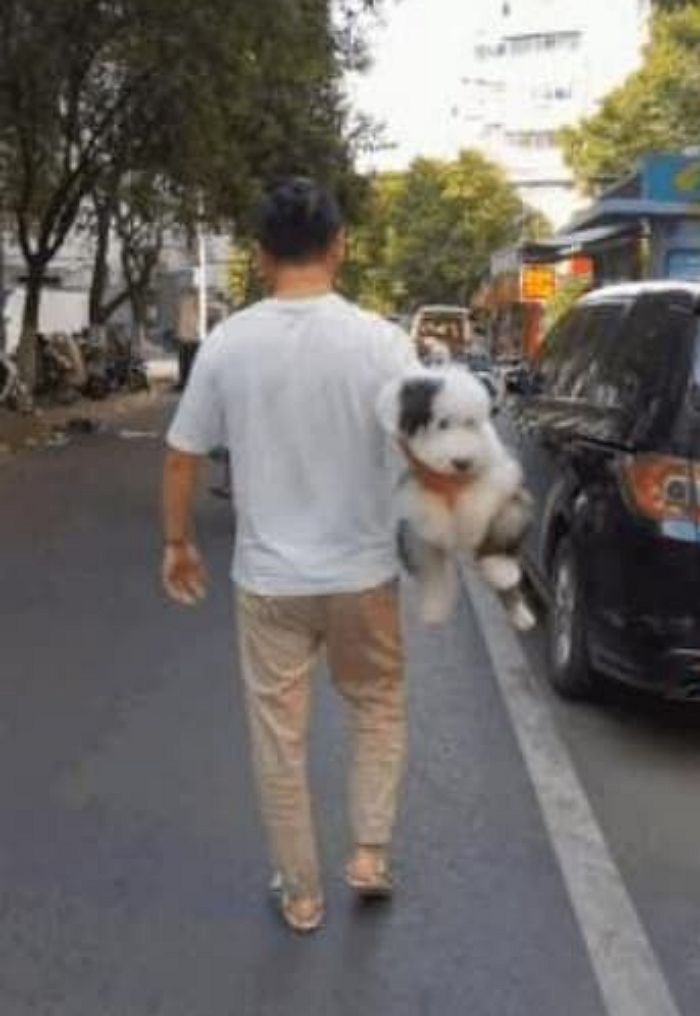 애니멀플래닛