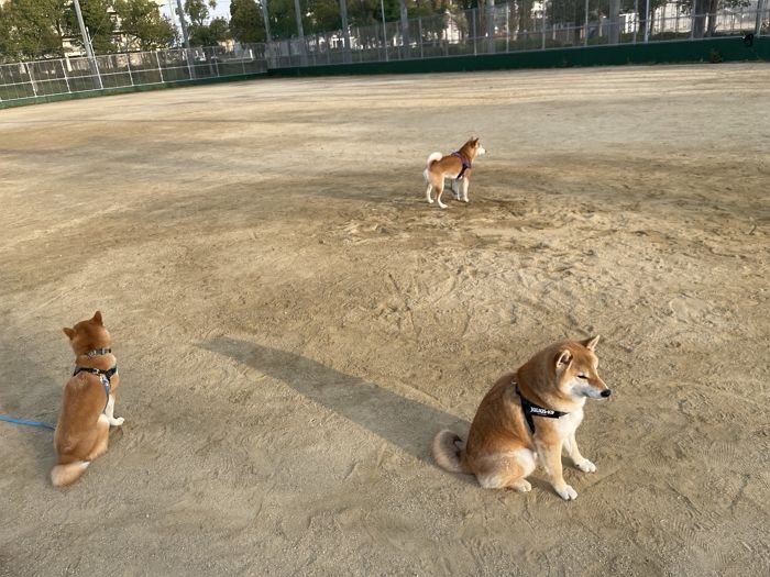 애니멀플래닛