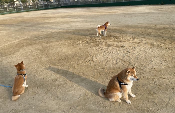 애니멀플래닛