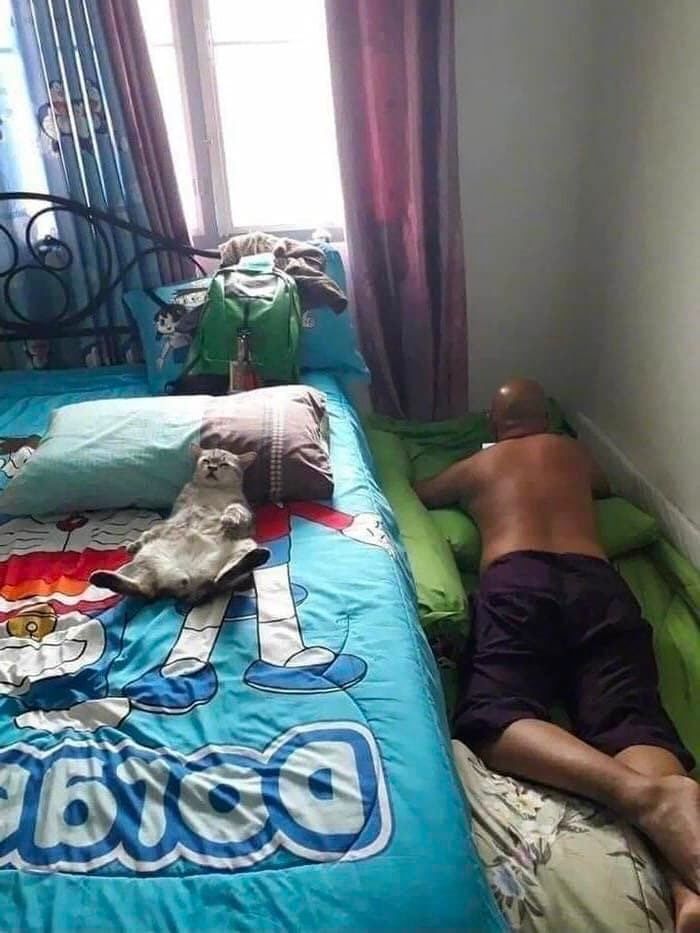 애니멀플래닛