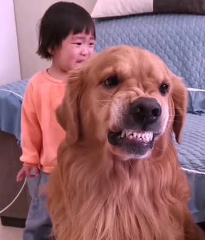 애니멀플래닛