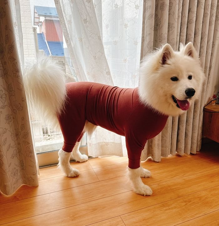 애니멀플래닛
