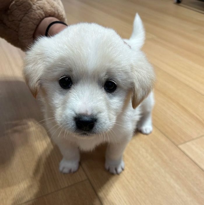 애니멀플래닛