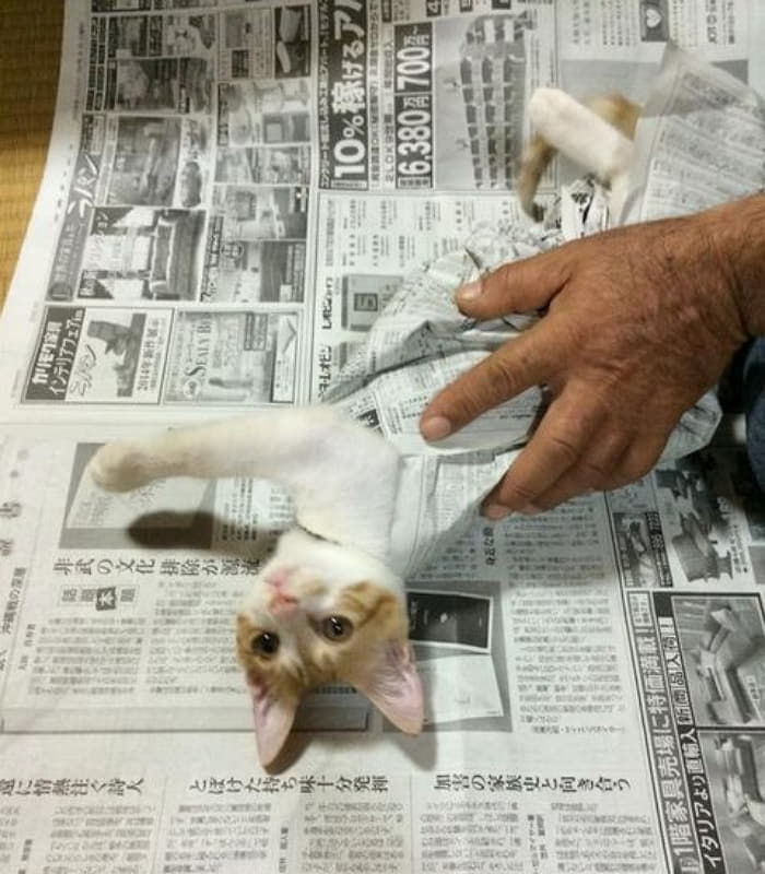 애니멀플래닛
