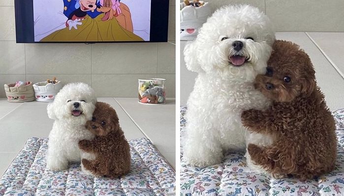 애니멀플래닛