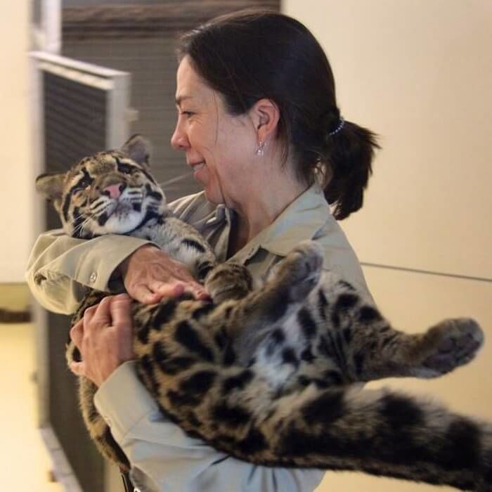 애니멀플래닛