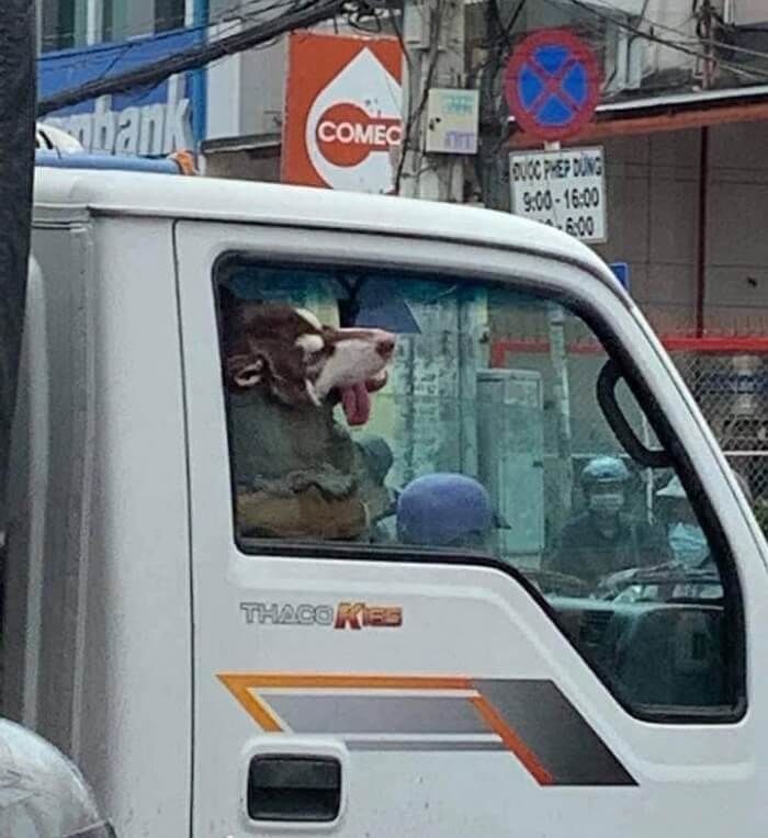 애니멀플래닛