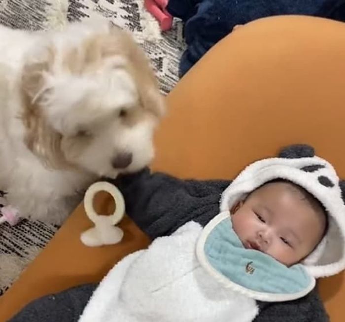 애니멀플래닛