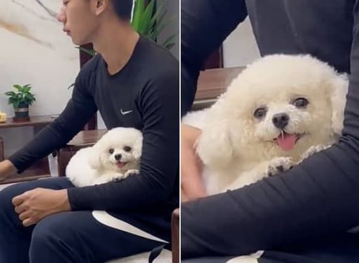애니멀플래닛