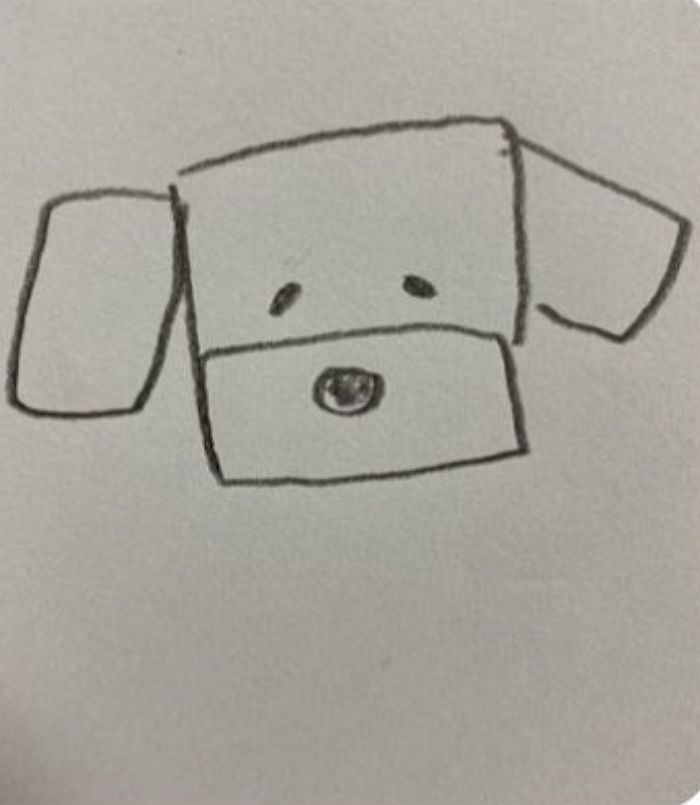 애니멀플래닛