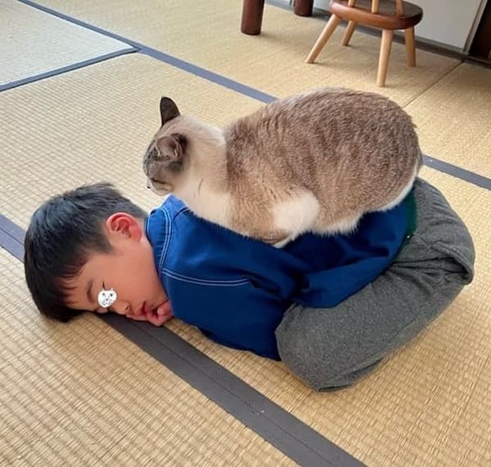 애니멀플래닛