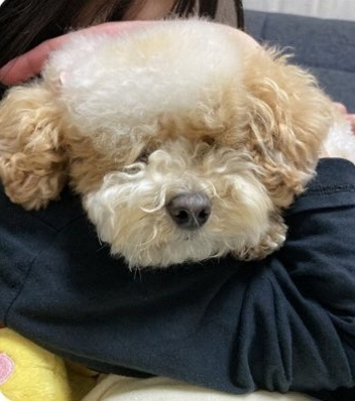 애니멀플래닛