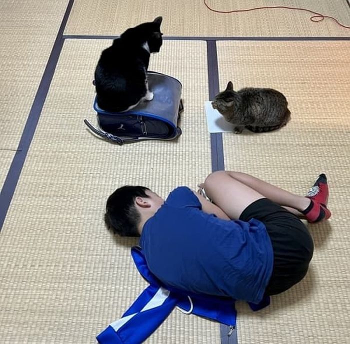 애니멀플래닛