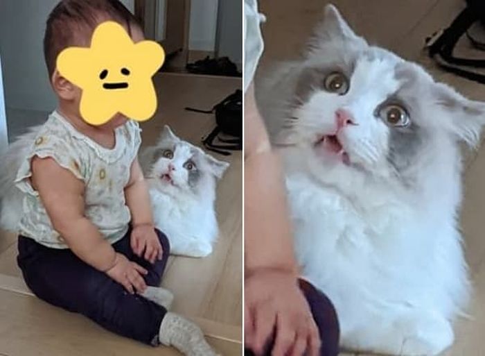 애니멀플래닛
