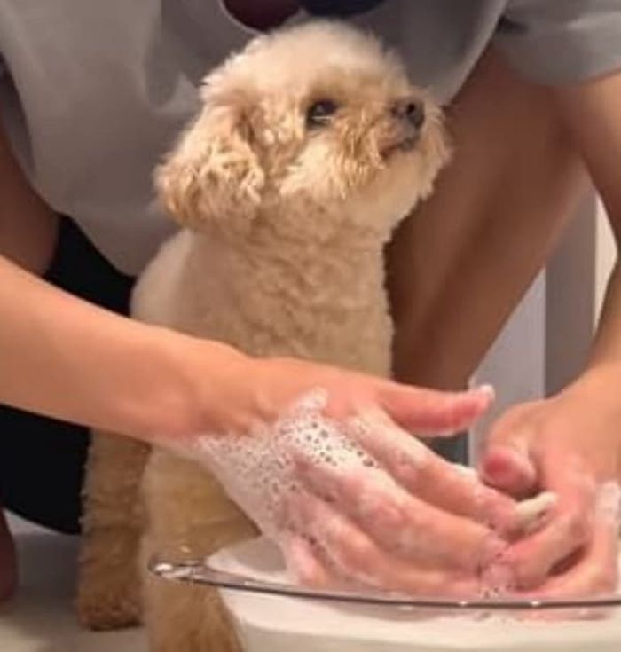 애니멀플래닛