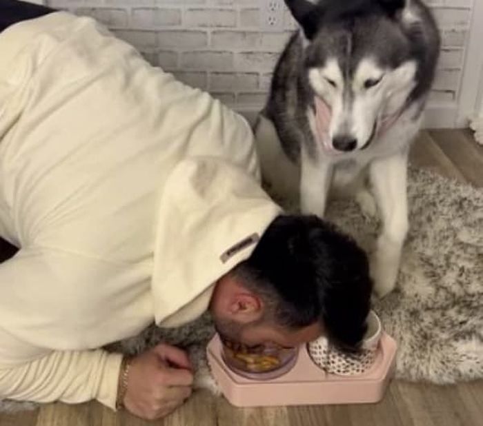 애니멀플래닛