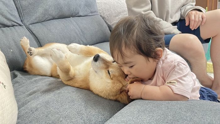 애니멀플래닛