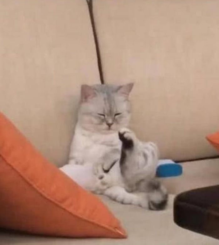애니멀플래닛