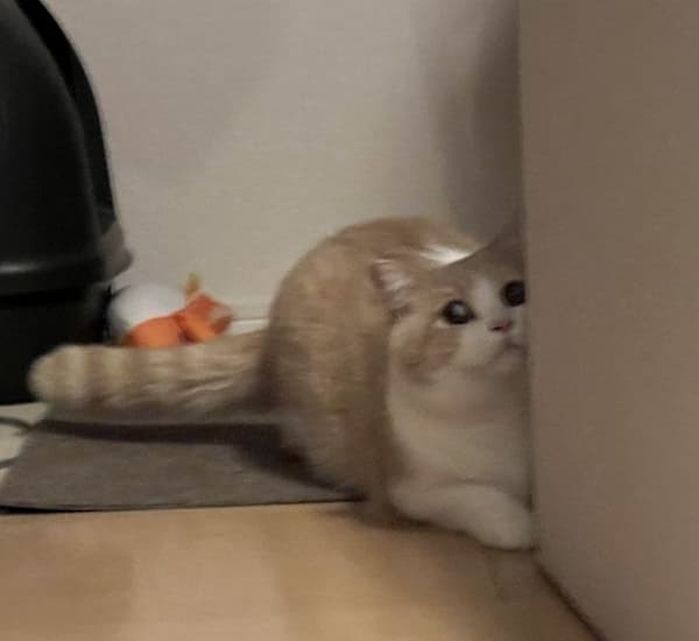 애니멀플래닛