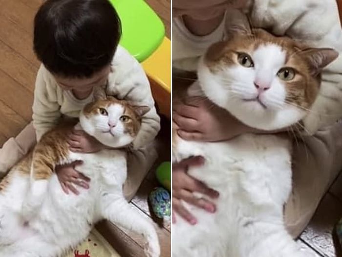 애니멀플래닛