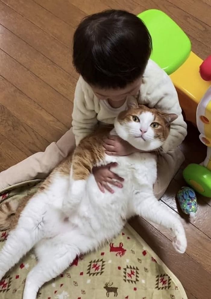 애니멀플래닛