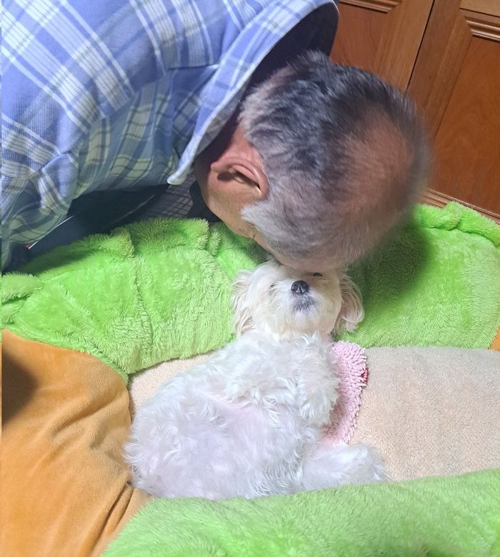 애니멀플래닛