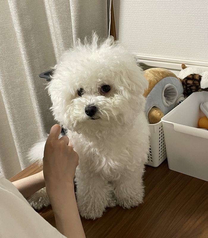 애니멀플래닛