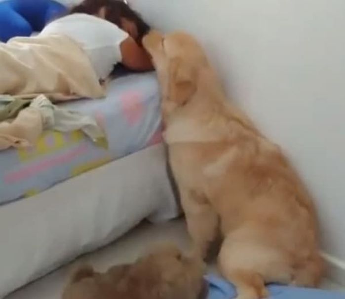 애니멀플래닛