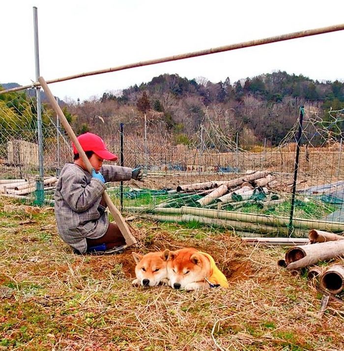 애니멀플래닛