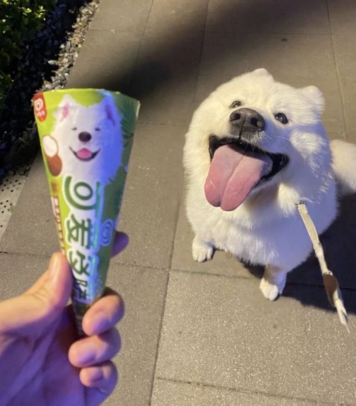 애니멀플래닛