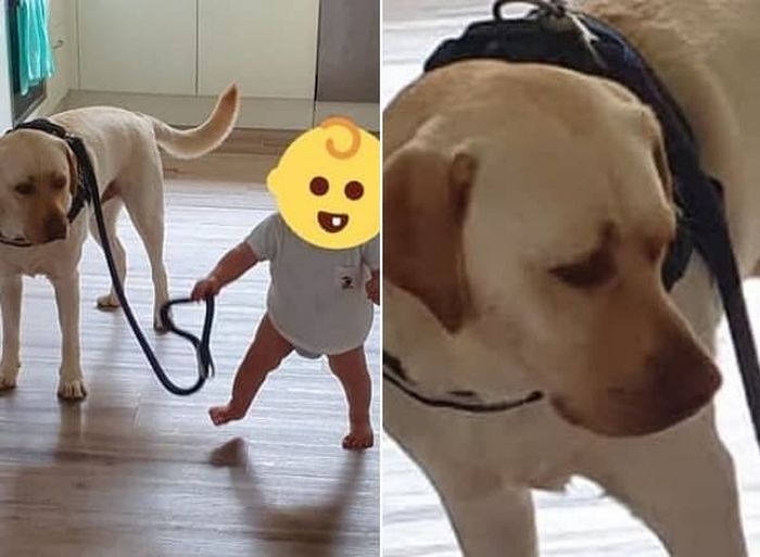애니멀플래닛