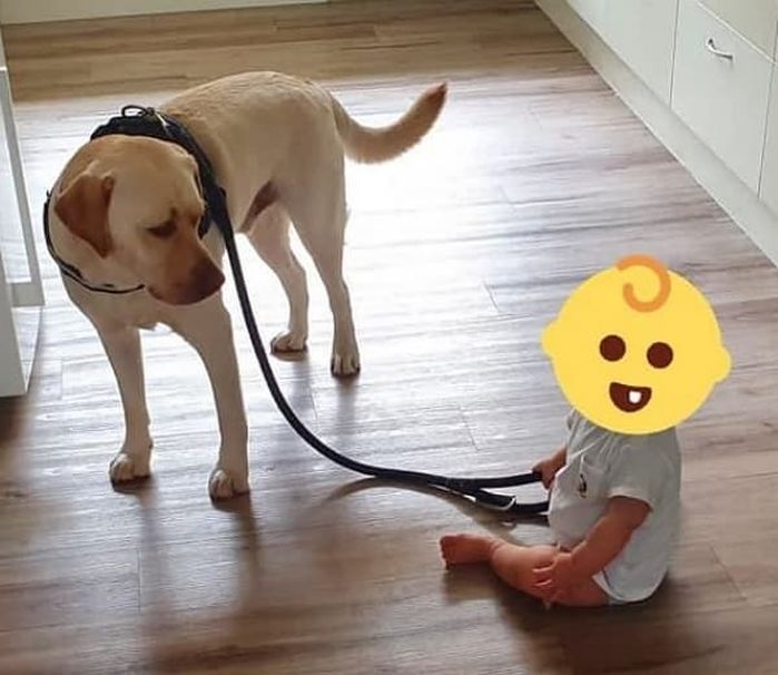 애니멀플래닛